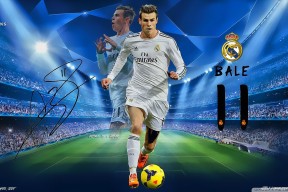 法国橄榄球赛事逐渐成为全球橄榄球市场的重要组成部分，法国橄榄球队