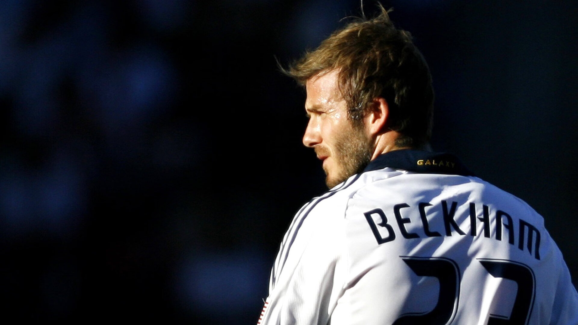 冠军球队赛季广告片发布引发粉丝讨论与转发,冠军宣传片